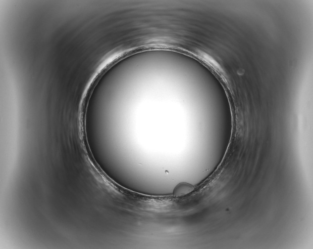 X0000087061384200704180928