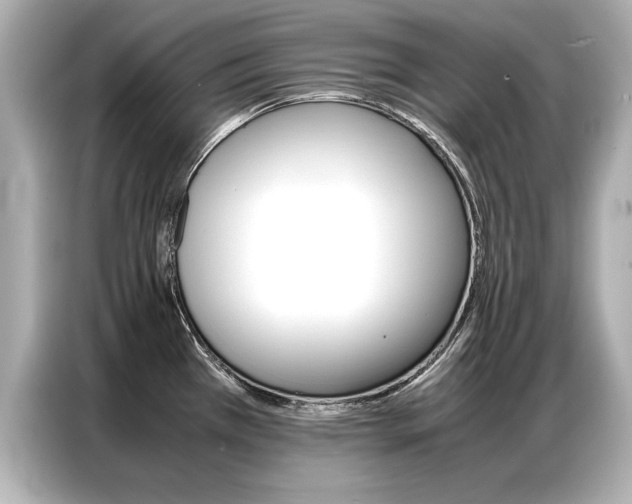 X0000087061385200704180928