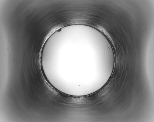 X0000087061386200704180928