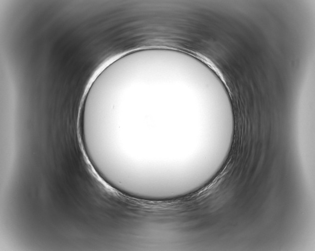 X0000087061387200704180928