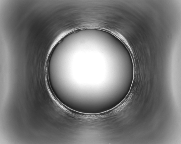 X0000087061389200704180928