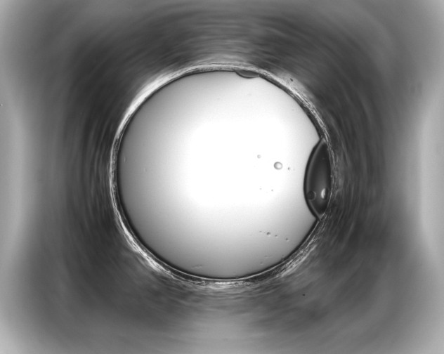 X0000087061390200704180928