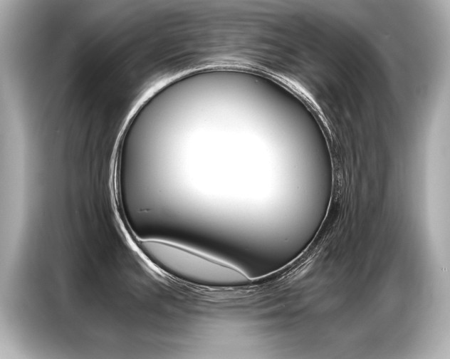 X0000087061391200704180928