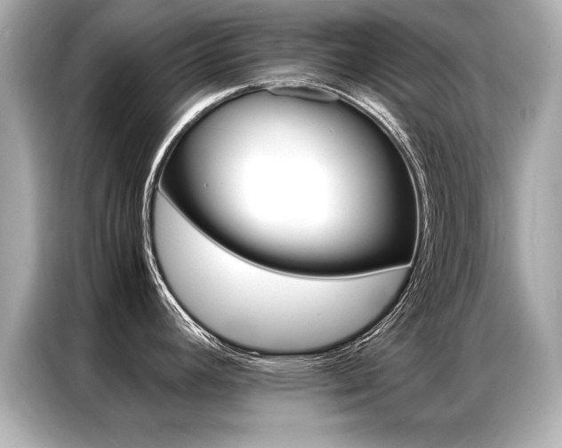 X0000087061392200704180928