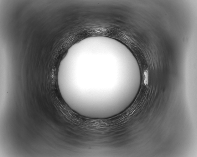 X0000087061395200704180927