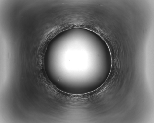 X0000087061398200704180927