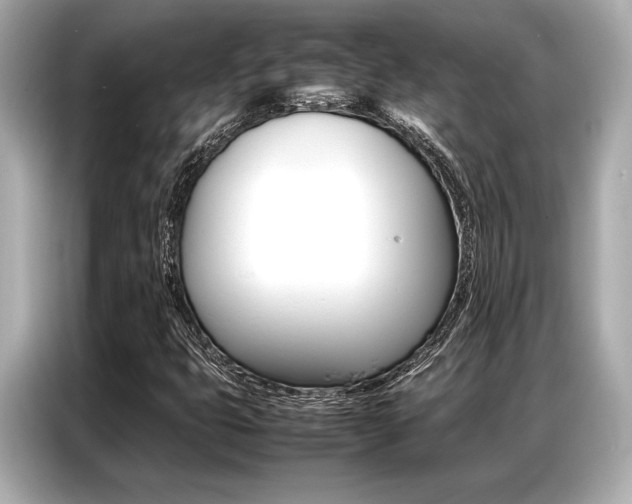 X0000087061399200704180927