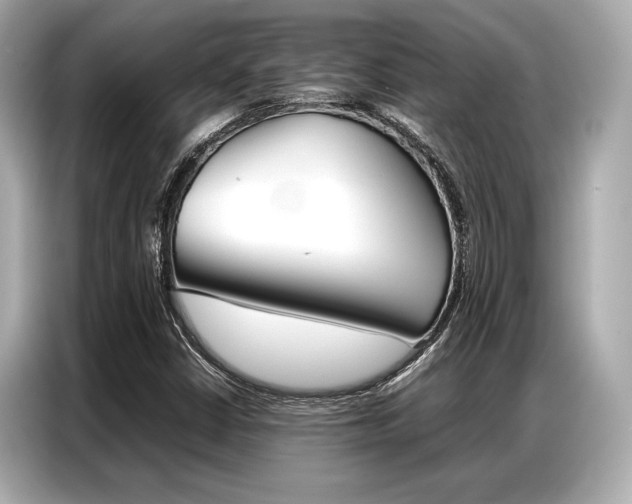 X0000087061402200704180927
