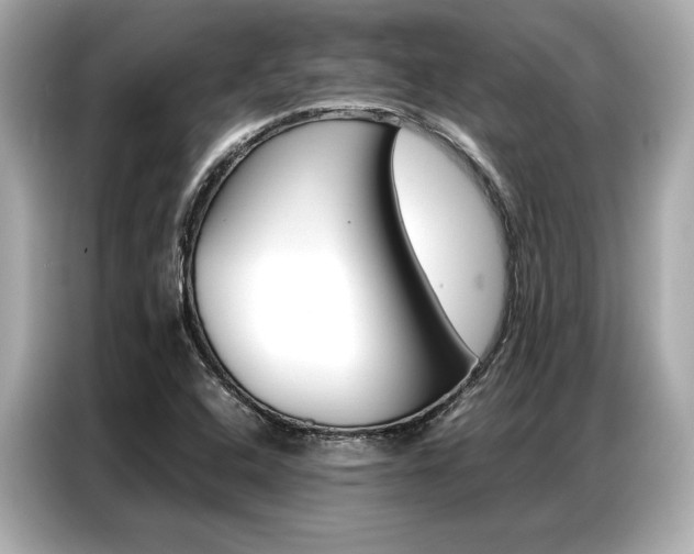 X0000087061408200704180927