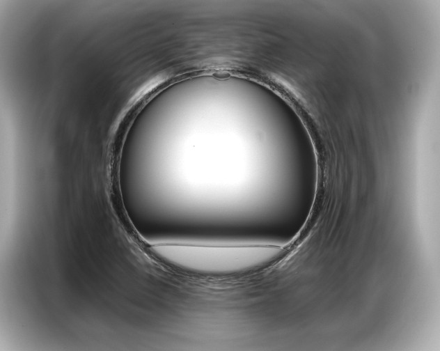 X0000087061410200704180927