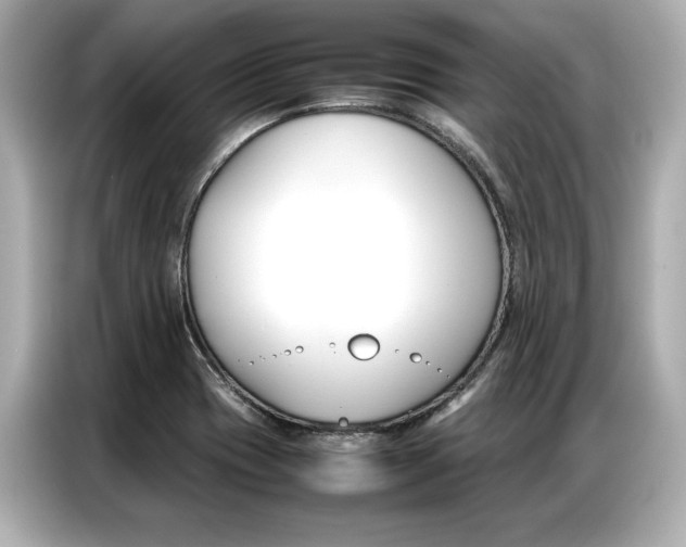 X0000087061417200704180927