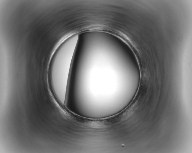 X0000087061418200704180927