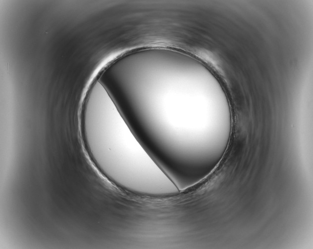 X0000087061424200704180927