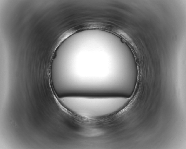 X0000087061425200704180927