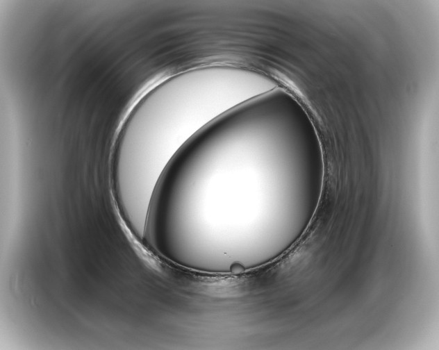 X0000087061426200704180927