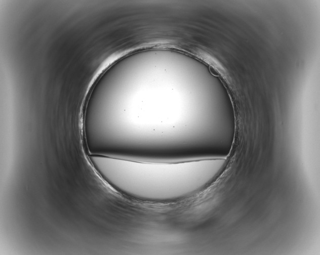 X0000087061428200704180927