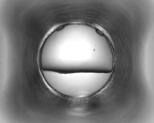 X0000087061429200704180927