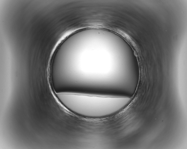 X0000087061432200704180928