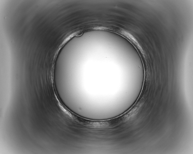 X0000087061433200704180928