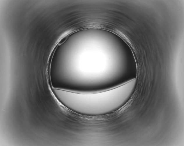 X0000087061434200704180928