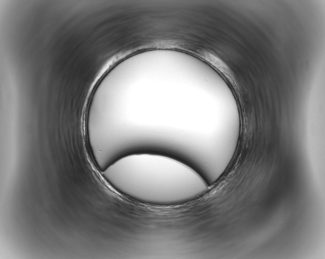 X0000087061436200704180928