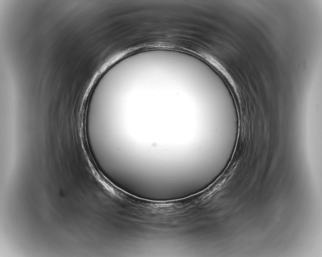 X0000087061437200704180928