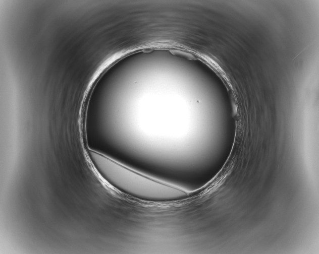 X0000087061438200704180928