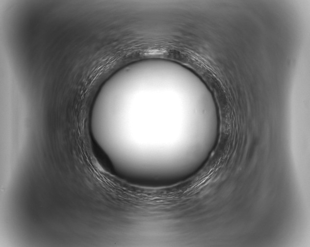 X0000087061441200704180927