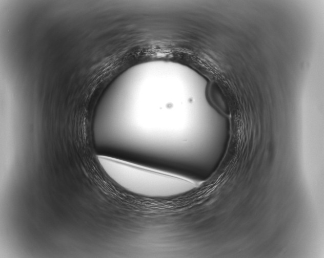 X0000087061442200704180927
