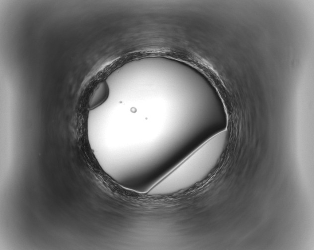 X0000087061448200704180927