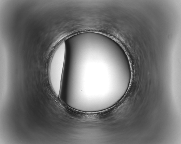 X0000087061453200704180927