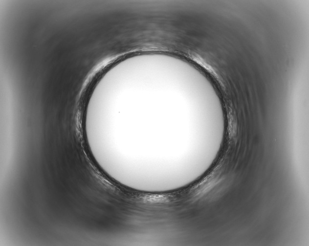 X0000087061454200704180927