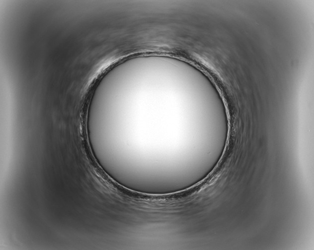 X0000087061455200704180927