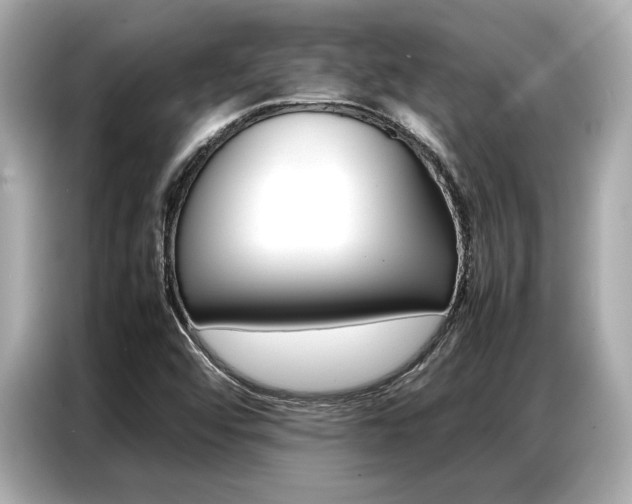 X0000087061456200704180927