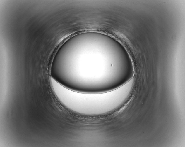 X0000087061457200704180927