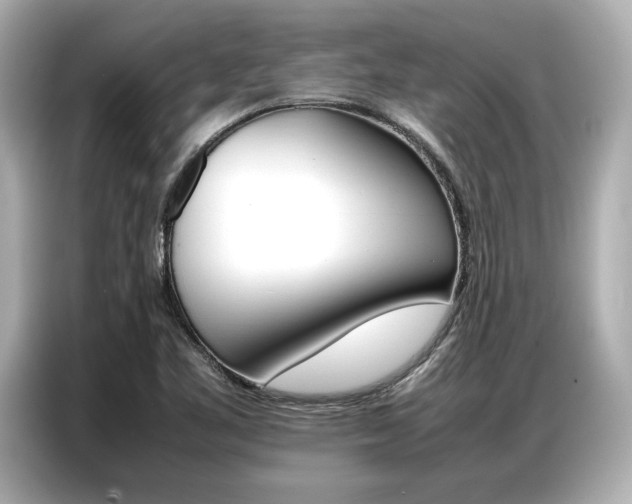 X0000087061461200704180927