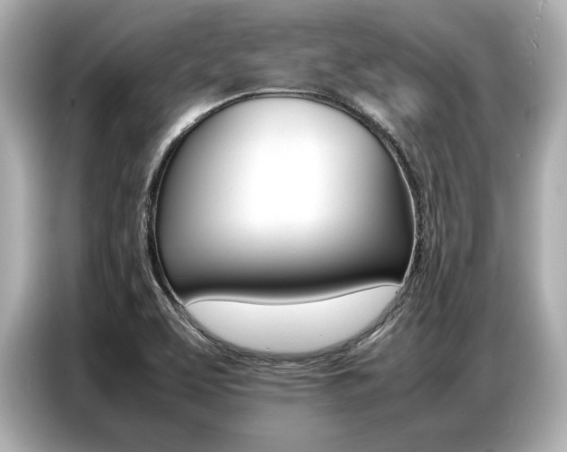 X0000087061463200704180927