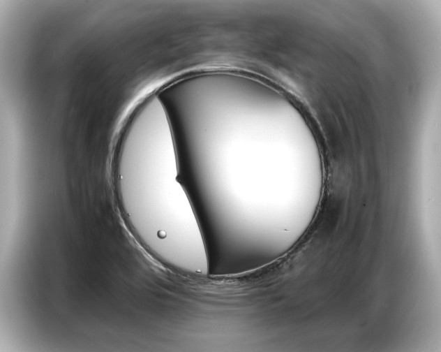 X0000087061464200704180927