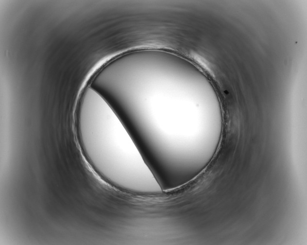 X0000087061468200704180927