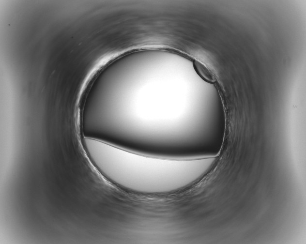 X0000087061472200704180927