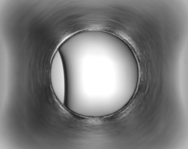 X0000087061473200704180927