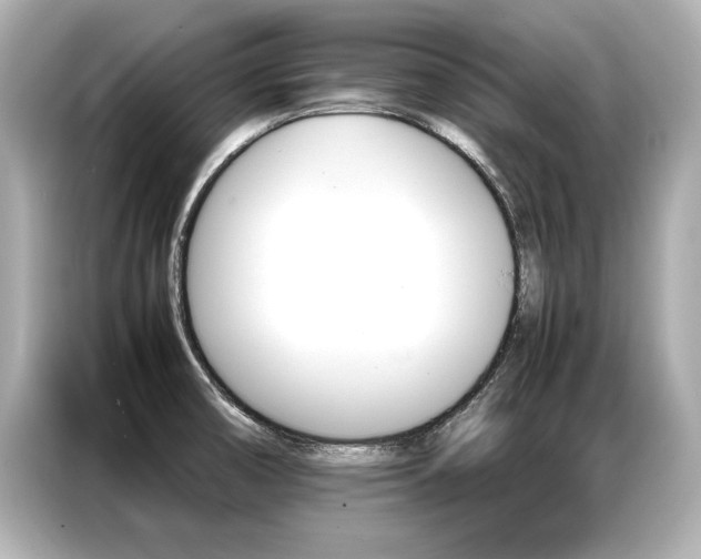 X0000087061474200704180927
