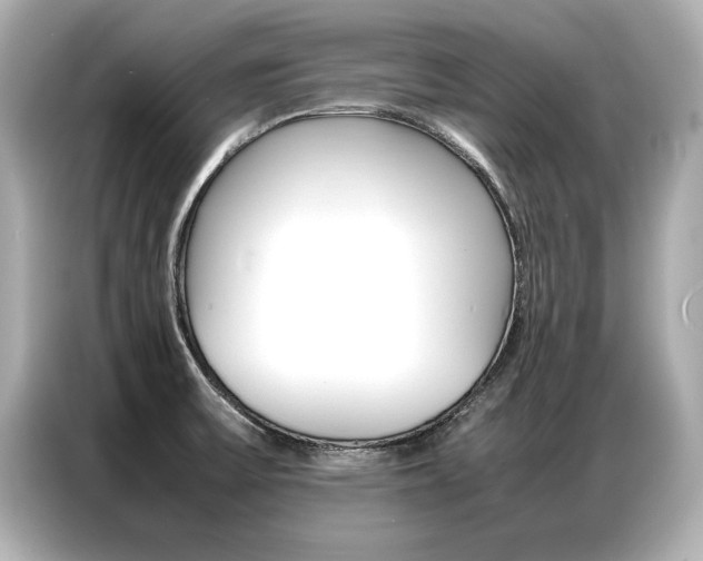 X0000087061475200704180926