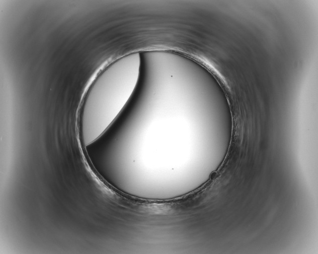 X0000087061476200704180926
