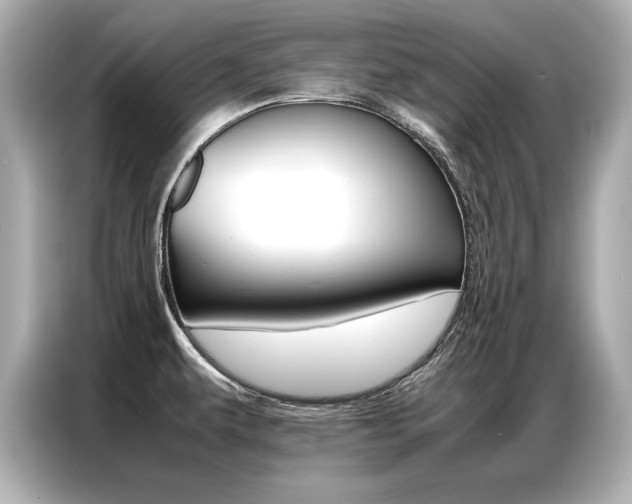 X0000087061479200704180926