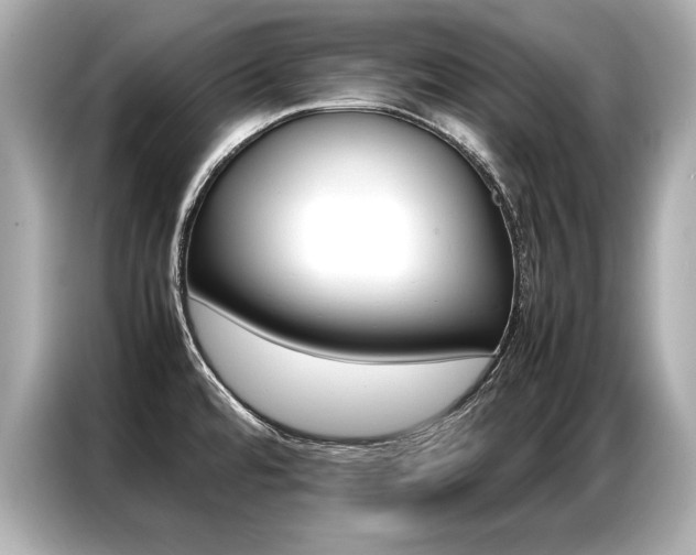 X0000087061480200704180926