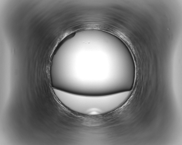 X0000087061481200704180926