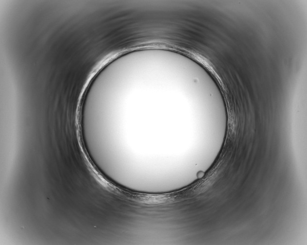 X0000087061482200704180926