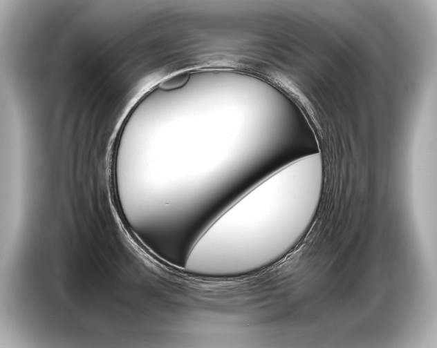 X0000087061483200704180926