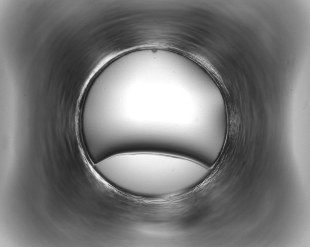 X0000087061484200704180926